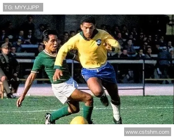 巴西足球传奇球星的辉煌历程与影响力分析