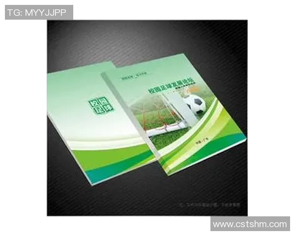 足球明星闪耀球场宣传册设计方案呈现独特魅力与品牌价值融合